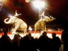 Circus14