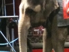 Circus9