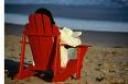 beach-reading.jpeg