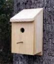 birdhouse.jpeg