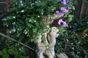 cherubs1