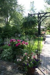 backyard-view1