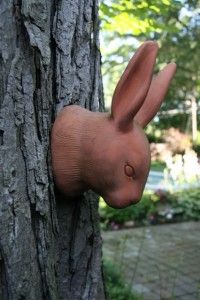 bunny