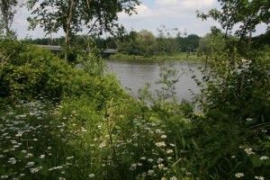 riverview