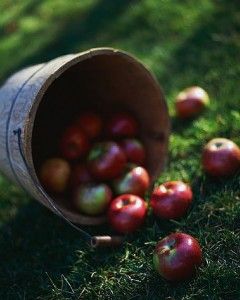 apple