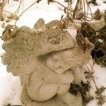 winterangel
