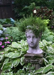 gardenjunkhead