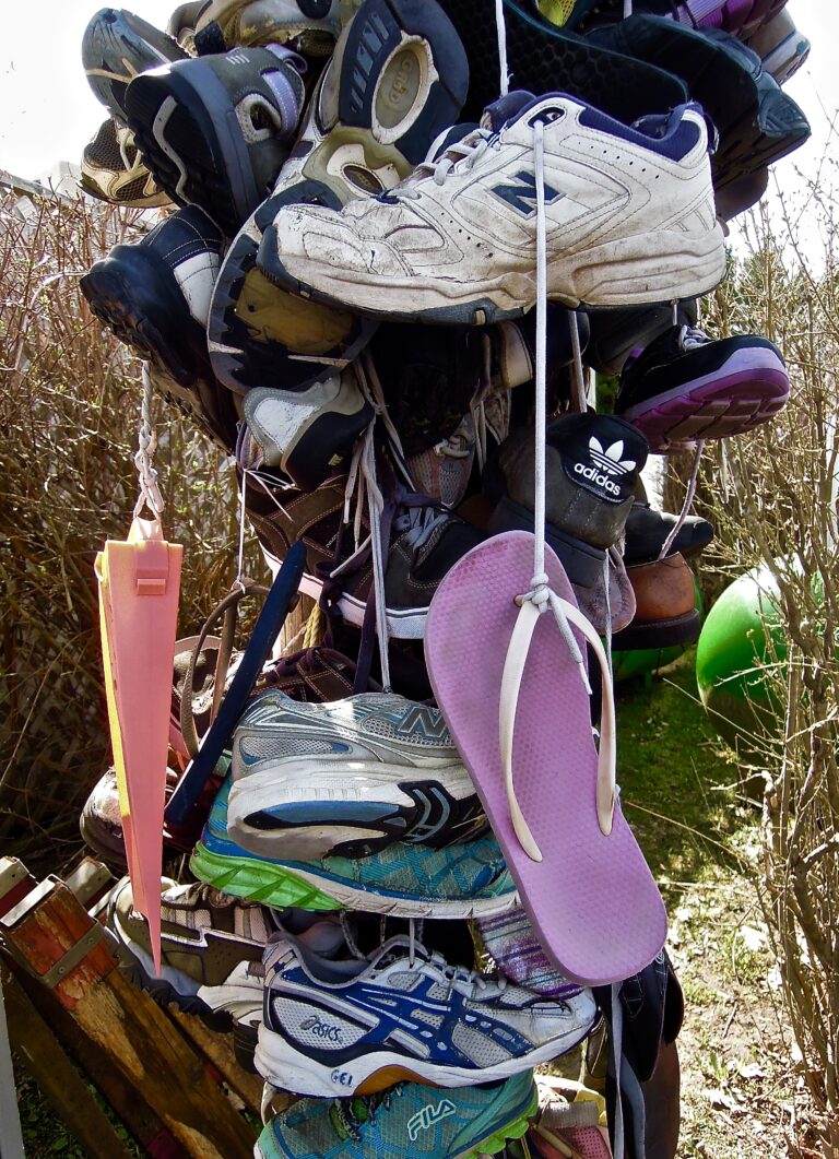 Someone else’s shoes | Cindy La Ferle's Life Lines